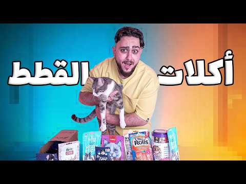 جربت أغرب أكلات القطط مع قطوس! thumbnail