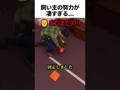 失明した犬と飼い主の努力の話 thumbnail