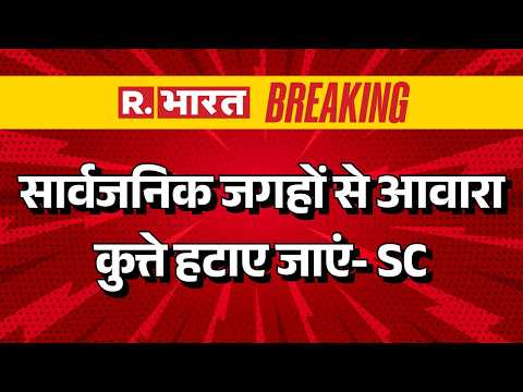 Supreme Court Verdict on Stray Dogs : आवारा कुत्तों को लेकर सुप्रीम कोर्ट का फैसला |  Delhi NCR thumbnail