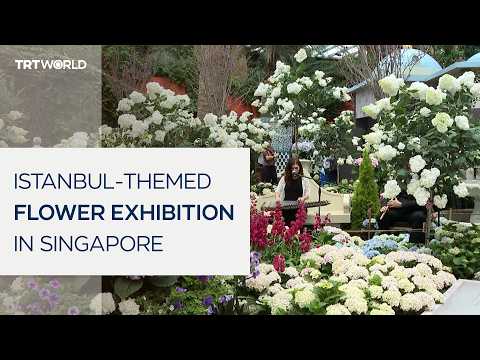 Türkiye’s botanical richness displayed with ‘Blue Beauties’ exhibition in Singapore thumbnail