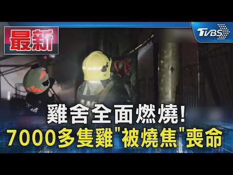 雞舍全面燃燒! 7000多隻雞「被燒焦」喪命｜TVBS新聞 @TVBSNEWS01 thumbnail