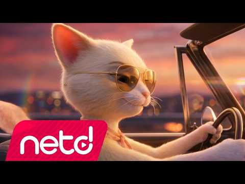 Ömür Gedik - Hiç Akıllanası Yok thumbnail