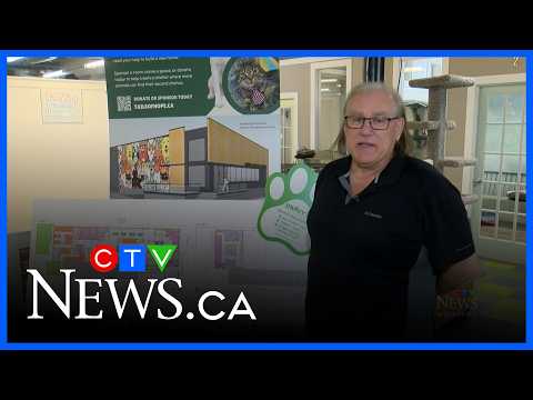 Big donations helping Winnipeg animal rescue thumbnail
