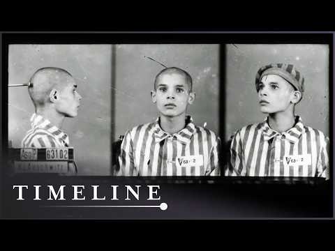 Before Auschwitz: Survivor Accounts Of The Darkest Transition In History thumbnail