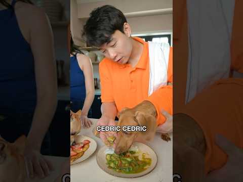 Uncle Roger Try Dog Food @itsthecedlife thumbnail