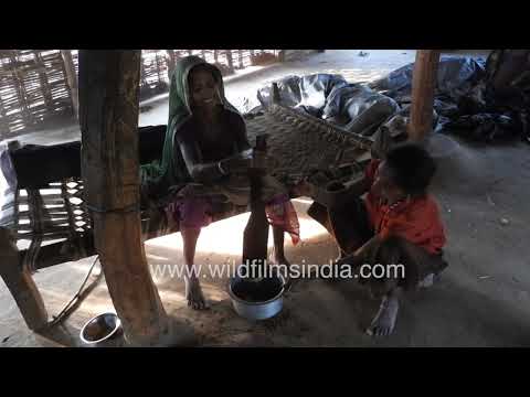 Traditional butter churning in a rural household in Maharashtra thumbnail