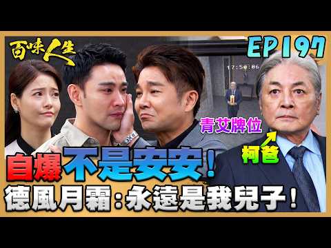百味人生 EP197 完整版｜承昊自爆「不是安安」！德風月霜早已知情「你永遠是我們兒子」！柯爸搶走青艾牌位！淑媛找到快發瘋！｜Bittersweet Destiny｜【莊廣和堂轉大人萃滴精】 thumbnail