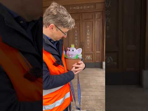 De Nederlandse Imagineer Michel laat je de details van de twee winkels in World of Frozen zien! ❄️ thumbnail