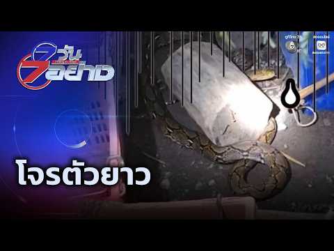 โจรตัวยาว | 7 วัน 7 อย่าง thumbnail