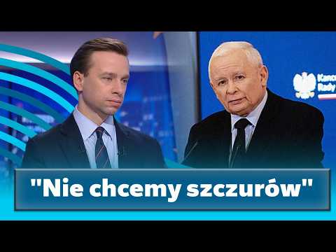"Nie chcemy szczurów uciekających z tonącego okrętu". Bosak o posłach PiS thumbnail