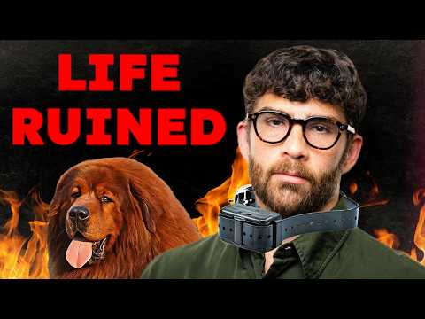 How to Mistreat Your Dog & Fail to Get Away With It - The Full Hasanabi Collargate Scandal thumbnail
