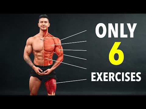 The #1 Full Body Routine to Build Muscle & Lose Fat thumbnail