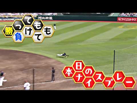 【勝っても】本日のナイスプレー セ・リーグにやられた編【負けても】(2026年5月31日) thumbnail