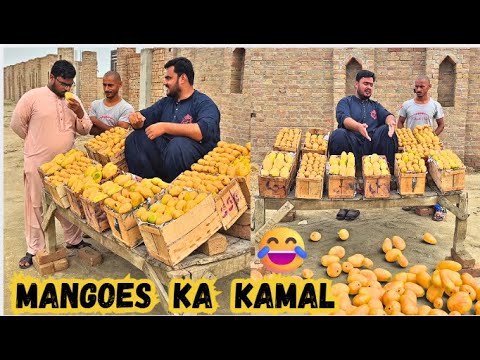 Insan bane mangoes? thumbnail