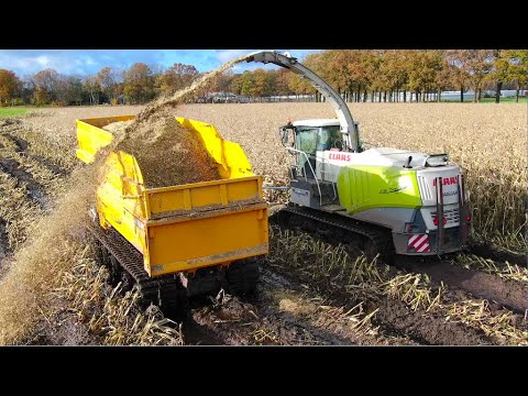 Maize harvest in extreme wet soil conditions | Claas Jaguar & Prinoth Track Dumpers | GM Damsteegt thumbnail