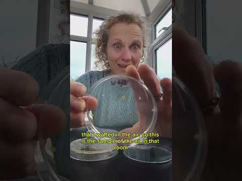 What grew from this hand dryer - anniversary test! thumbnail