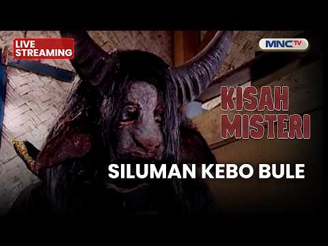 🔴SILUMAN KEBO BULE | LIVE KISAH MISTERI | 1 JUNI 2026 thumbnail