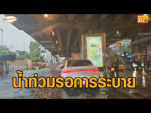 กทม.อ่วม ฝนถล่มหนัก น้ำท่วมรอระบาย ขนลุกภาพหนูหนีตาย เกาะกระจุกตัวโคนต้นไม้ thumbnail