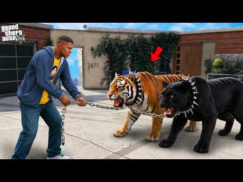 Franklin and Shinchan Catching Most Rare Tigers In Los Santos In GTA 5 | Paradox FTW thumbnail