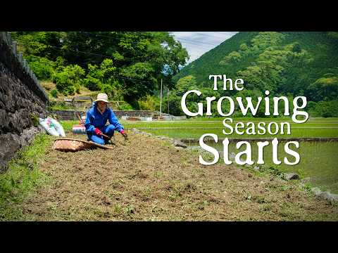 We Started a NEW Vegetable Garden (+ Day Trips with the Fam) in the Japanese Countryside thumbnail