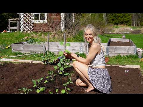 A Month of Doubt, Gratitude & Growth | Life in Northern Sweden thumbnail