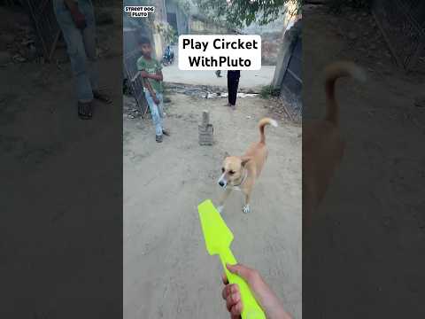 Play Circket With Pluto ? thumbnail