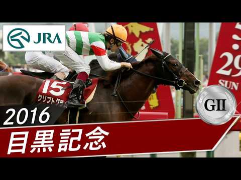 2016年 目黒記念（GⅡ） | クリプトグラム | JRA公式 thumbnail