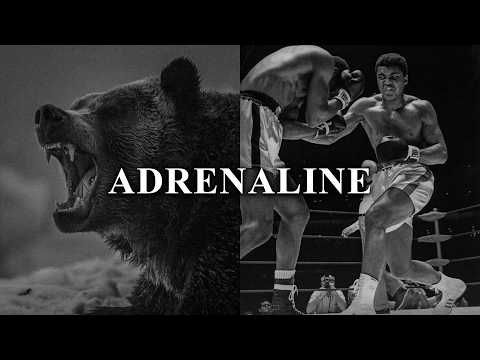 ADRENALINE | Powerful Motivational Speeches 2026 thumbnail