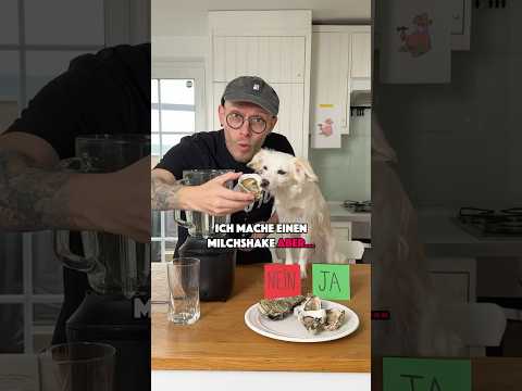 MEIN HUND HASST MICH ? #dog #hund #comedy #shake thumbnail