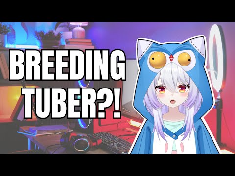 AngryOwlCat has been breading | Highlight of the week 11 thumbnail