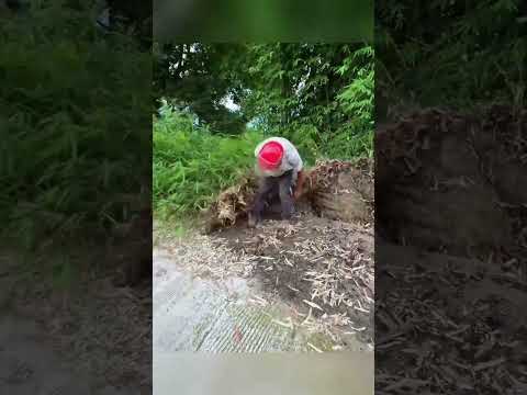 Thấy việc tốt liền làm thumbnail