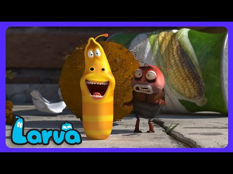 Larva - ¡Masajes mágicos al rescate! | Dibujos Infantiles | WildBrain Niños thumbnail