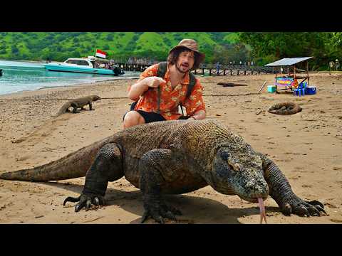 Aquí vive el reptil más peligroso del mundo: DRAGÓN DE KOMODO 🐊 thumbnail