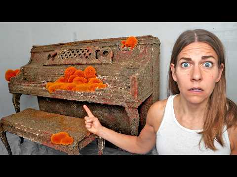 I Tried to Grow a Chia Piano…THIS Happened thumbnail