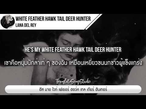 แปลเพลง White Feather Hawk Tail Deer Hunter - Lana Del Rey thumbnail