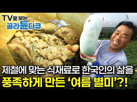 제철에 맞는 식재료로 한국인의 삶을 풍족하게 만든 '여름 별미'?!ㅣ여름 별미를 찾아서ㅣ한국기행ㅣTV로 보는 #골라듄다큐 thumbnail