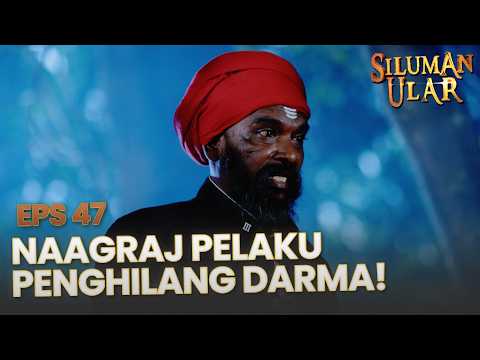 Ines Syok! Ternyata Naagraj Pembunuh Darma | SILUMAN ULAR | EPS.47 | PART 2 thumbnail