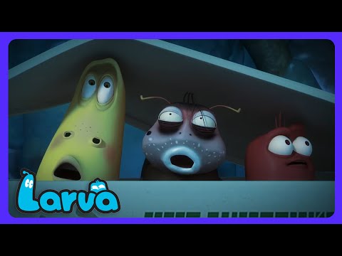 Larva - ¡Congelados en la nevera! | Dibujos Infantiles | WildBrain Niños thumbnail