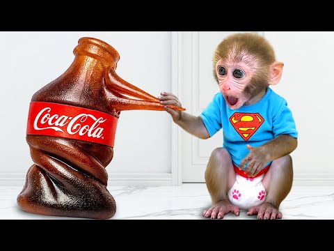 Monkey Baby Bon Bon and little duckling pick a giant watermelon together to make watermelon juice thumbnail