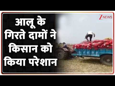 Breaking News: आलू के गिरते दामों ने किसान को किया परेशान thumbnail