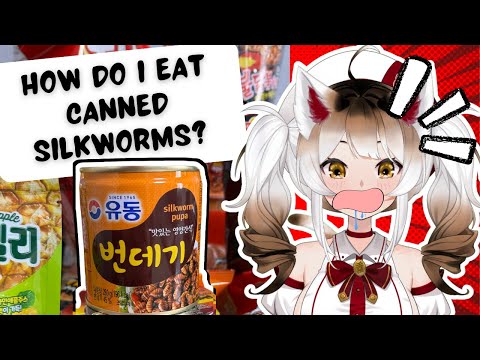Vtuber Tries Korean Snacks for the First Time! SPicccyyyy!!! thumbnail
