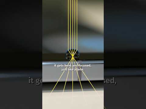 I Turned My Phone Into A Microscope thumbnail