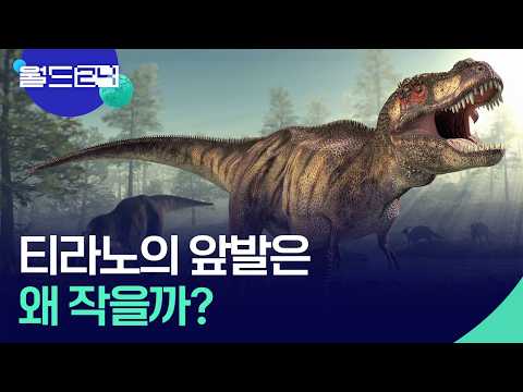 티라노사우루스의 앞발은 왜 작을까? [월드24/뉴스의 2면] / KBS  2026.05.26. thumbnail