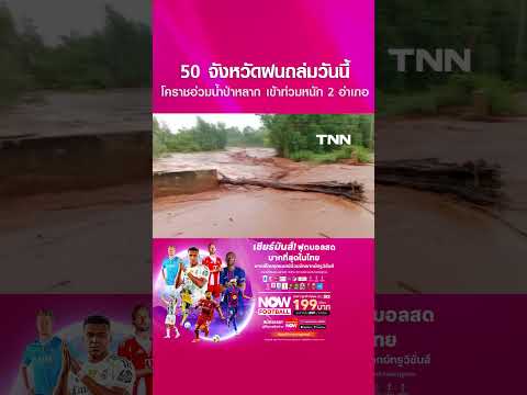 50 จังหวัดฝนถล่มวันนี้ โคราชอ่วมน้ำป่าหลาก เข้าท่วมหนัก 2 อำเภอ l TNN ข่าวเช้า l 17-05-2026 thumbnail