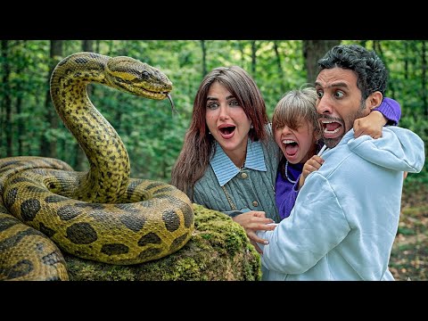 عشنا لحظات مرعبه لقينا ثعبان في طريقنا للغابه !! thumbnail