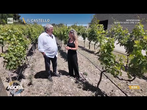 Vino rosé in crescita ma la crisi internazionale rallenta il settore vitivinicolo - Agorà 01/06/2026 thumbnail