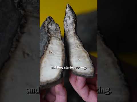 Rubber used to be useless… thumbnail