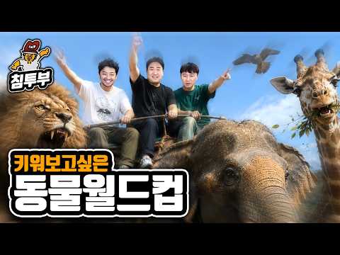 개유치한 키워 보고 싶은 동물 월드컵 thumbnail