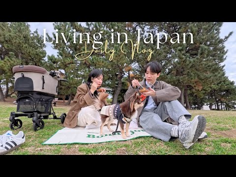 日本生活vlog｜週末的狗公園?、終於領車了?、天氣冷幾乎都在吃火鍋、入冬的慢步調生活日常✨｜水瓶小姐 thumbnail