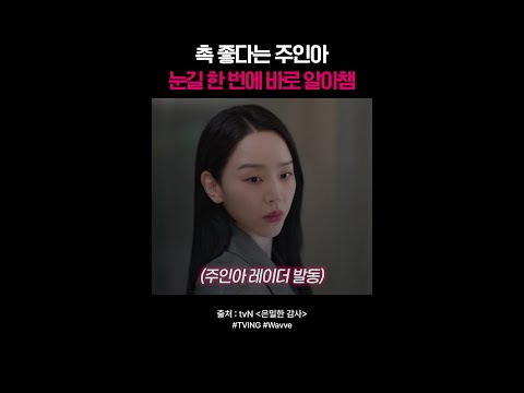 삐삑⚡주레이더 발동 시작-🚨#은밀한감사 thumbnail